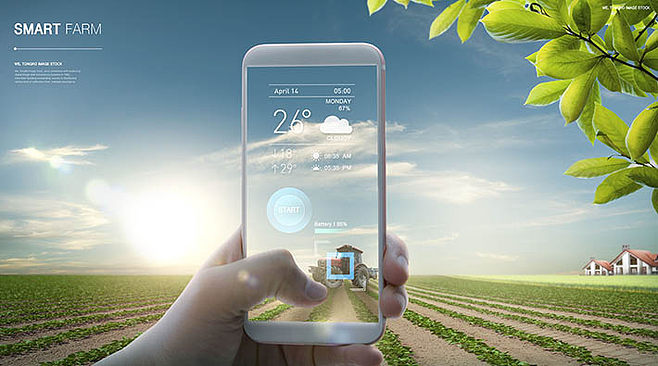 科技賦能未來 智能手機在智能農業管理中的應用