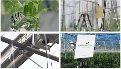 人工智能農(nóng)業(yè) 互聯(lián)網(wǎng)巨頭種黃瓜獲獎背后的技術(shù)革命