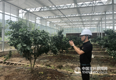 智能農(nóng)業(yè) 告別“看天吃飯”，開啟“智慧動腦”新紀(jì)元