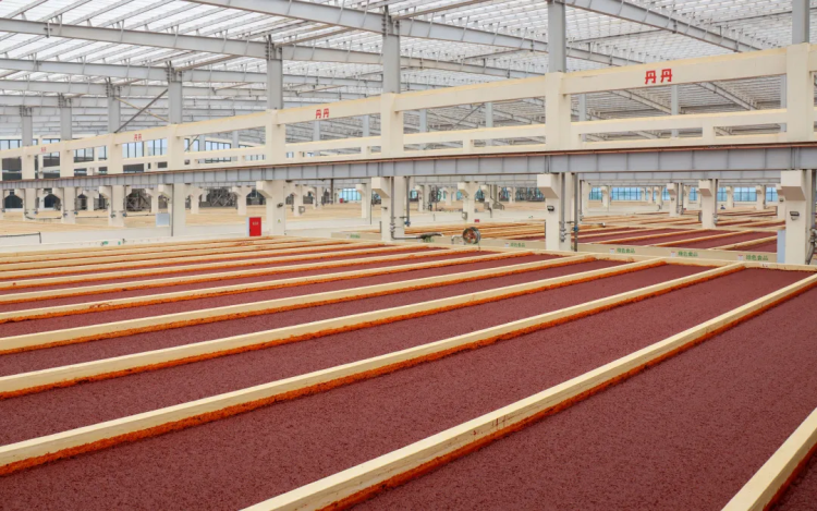 入選國家級重點(diǎn)培育名單！這勺郫縣豆瓣藏著川味的“世界通行證”與智能農(nóng)業(yè)管理