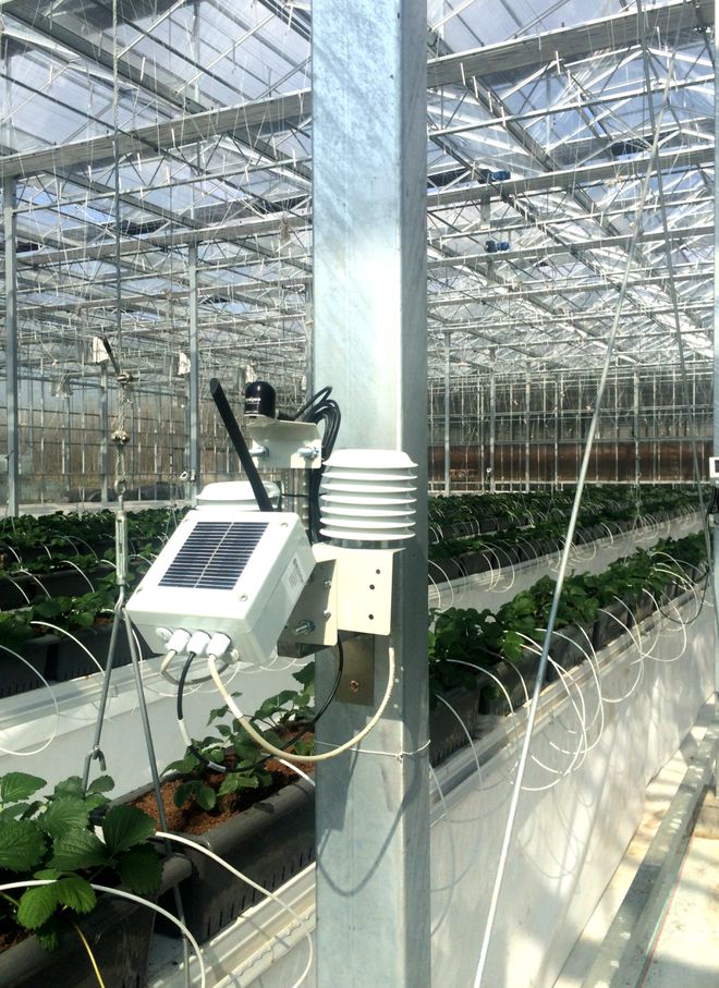 智慧領航 綠意新生——解讀最新設施農業智能管理項目建設方案